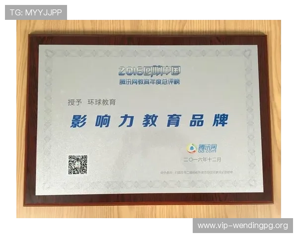 问鼎旗舰网站：打造高效运营体系实现网站品牌影响力快速扩展